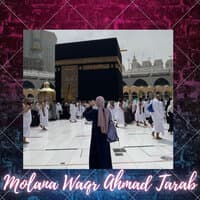 Molana Waqr Ahmad Tarab