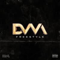 Freestyle DVM