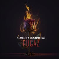 Fugaz