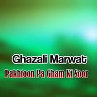 Pakhtoon Pa Gham Ki Soor