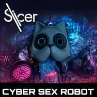 Cyber Sex Robot