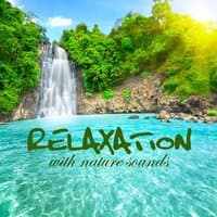 Relaxation With Nature Sounds