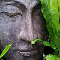 Essential Meditation & Relaxation Sessions - Music for Complete Deep Focus & Absolute Zen, Stress & Anxiety Relief, Study & Exam Focus and Better Mental Health