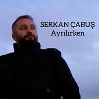 Ayrılırken