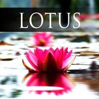 Lotus – Tantra Music for Meditation and Sex Relaxation, Tantric Sensual Meditation Music for Sex