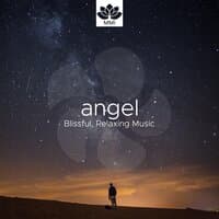 Angel - The Ultimate Collection of Blissful, Relaxing Music for Fifth Harmony