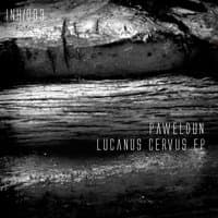 Lucanus Cervus EP