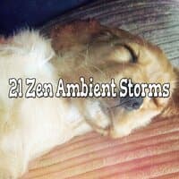 21 Zen Ambient Storms