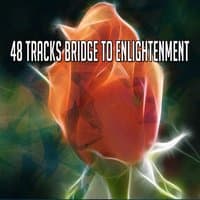 48 Tracks Bridge To Enlightenment