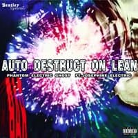 Auto Destruct on Lean