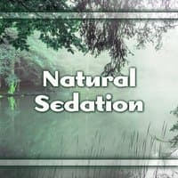 Natural Sedation - Calm Evening and Night, Cool Moments of Silence, Quiet Music, Fun Sounds