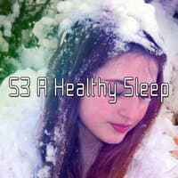 53 A Healthy Sleep