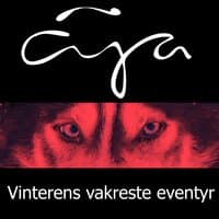 Vinterens Vakreste Eventyr