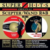 Super Hits:  Original Scepter/Wand R&B - Volume 2