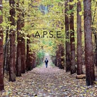 A.P.S.E.