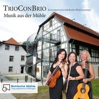 Musik aus der Mühle