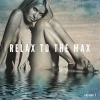 Relax To The Max, Vol. 1