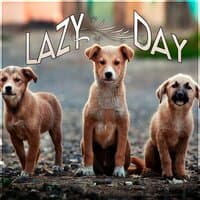 Lazy Day - Instrumental Mellow Music and Calming Down Nature Sounds to Relax Your Dog & Cat When They Are Alone at Home, Soft Melodies for Puppies & Kittens That Will Keep Them Company