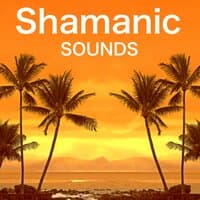 Shamanic Sounds - Oriental Music, Indian Buddha Party Bar, Electro Songs