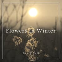 Flowers in Winter