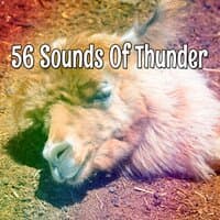 56 Sounds of Thunder