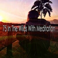 75 In the Wilds with Meditation