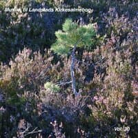 Musikk til Landstads Kirkesalmebog Vol. 30