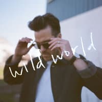 Wild World