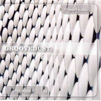 Step Power 10 - Groovedust