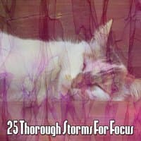 25 Thorough Storms for Focus