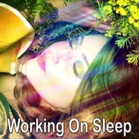 Working On Sleep