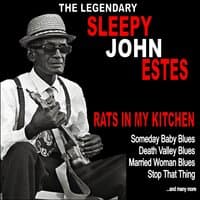 Rats in My Kitchen :The Legendary Sleepy John Estes