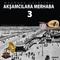 Akşamcılara Merhaba, Vol. 3