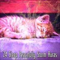 24 Sleep Peacefully Storm Auras