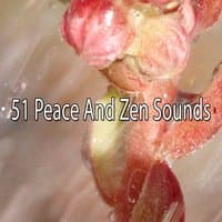 51 Peace And Zen Sounds