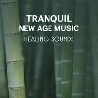 Tranquil New Age Music – Healing Sounds for Yoga Exercises, Chakra Relaxation, Mantras, Massage, Calm Sleep, Mind Meditation