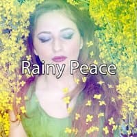 Rainy Peace