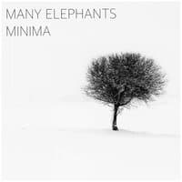 Minima