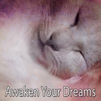 Awaken Your Dreams