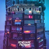 Turn on the Bass