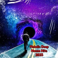 Melodic Deep House Hits 2023