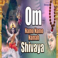 Om Namo Namo Namah Shivaya