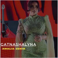 Gatnashalyna