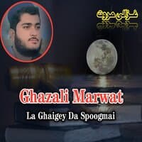 La Ghaigay Da Spogmai Naat