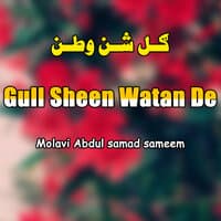 Gull Sheen Watan De