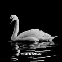 Black Swan