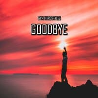 Goodbye