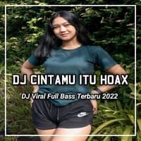 DJ Cintamu Apa x Cintamu Itu Hoax Sayangmu Itu Hoax - Inst