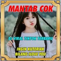 DJ Ingin Ku Teriak Bilang I Love You Keren Parah - Inst