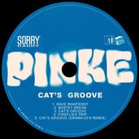 Cat's Groove